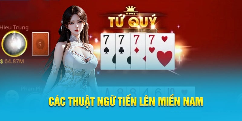 Nắm vững các thuật ngữ này giúp bạn dễ dàng theo dõi và đưa ra quyết định chính xác